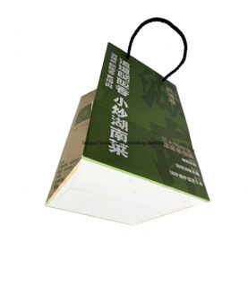 High-angle view of the green paper bag, showcasing the top edge and handle printing details