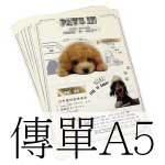 傳單A5